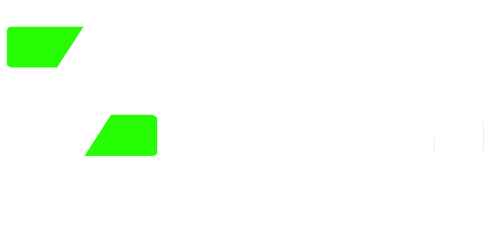 Zodongo International