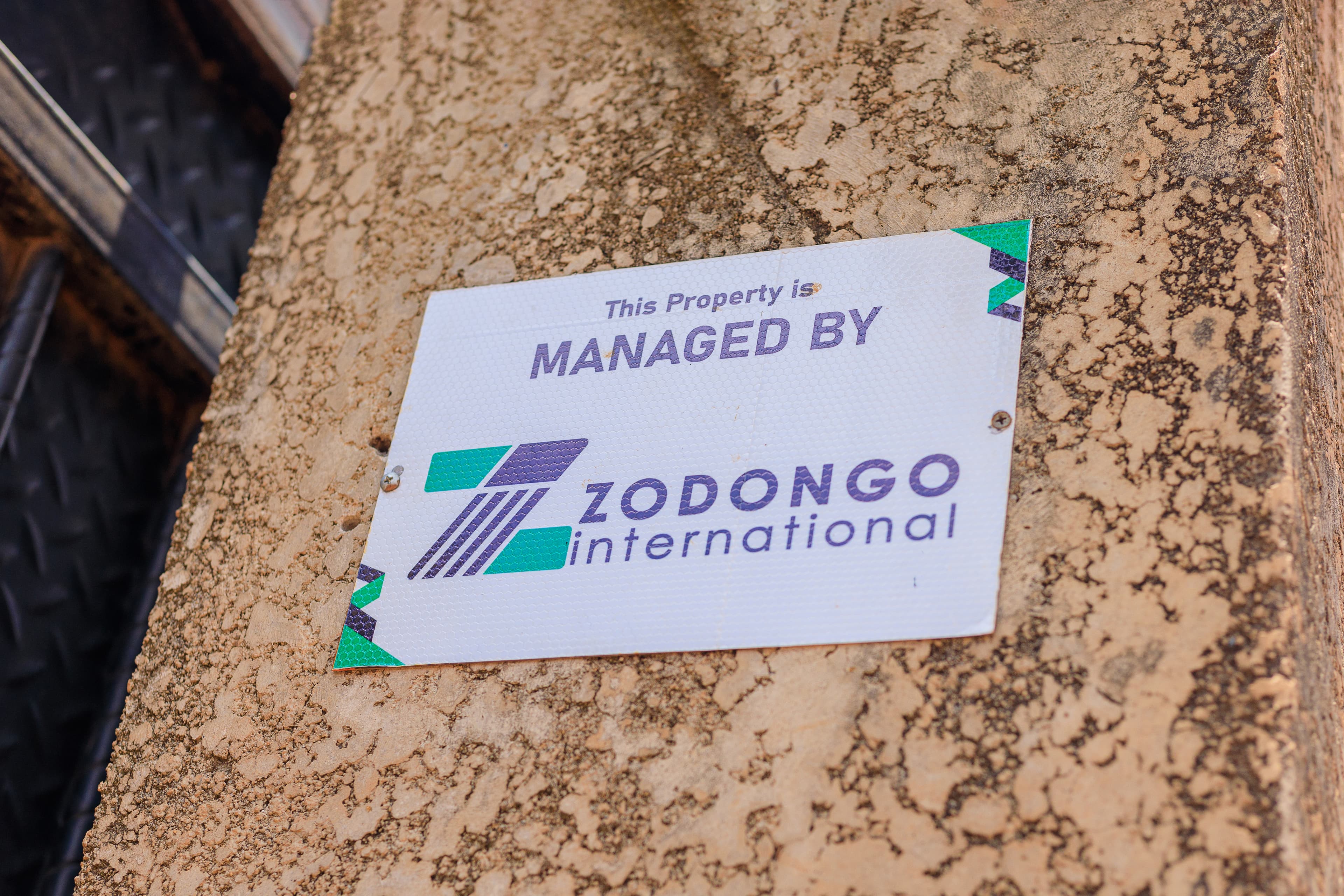 About Zodongo International